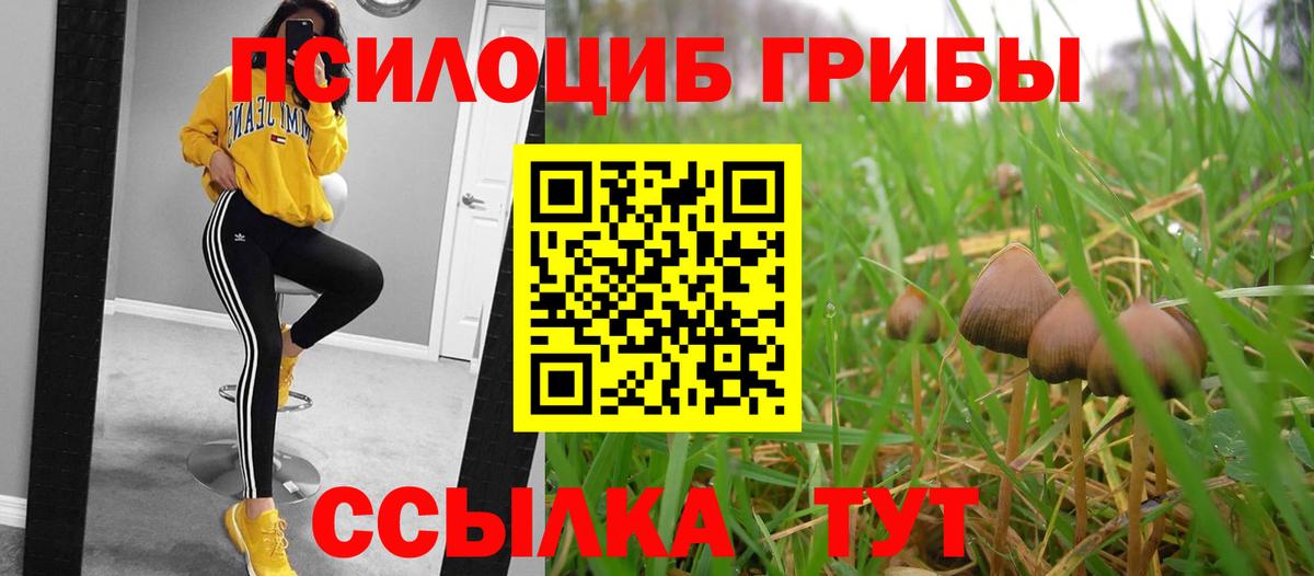 Псилоцибиновые грибы MAGIC MUSHROOMS Шелехов