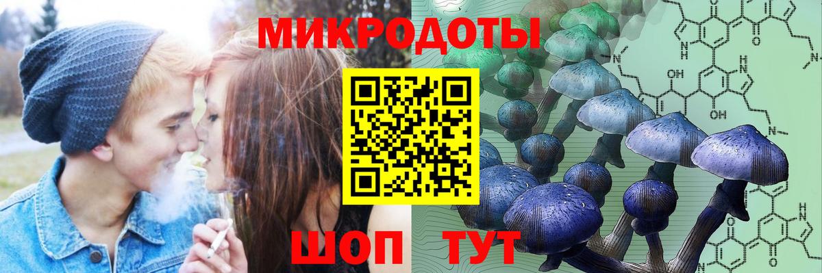 Псилоцибиновые грибы прущие грибы  Вход с VPN  Галлюциногенные грибы Psilocybe  Шелехов 